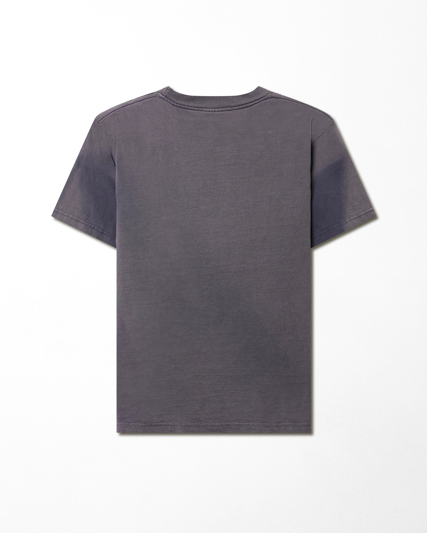 BAY SIDE "THE CHURCH SAYS THE EARTH IS FLAT" GREY FADED T-SHIRT