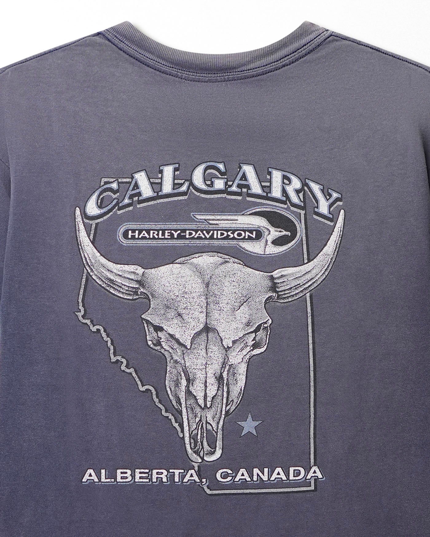 HARLEY DAVIDSON "CALGARY" PURPLE FADED T-SHIRT