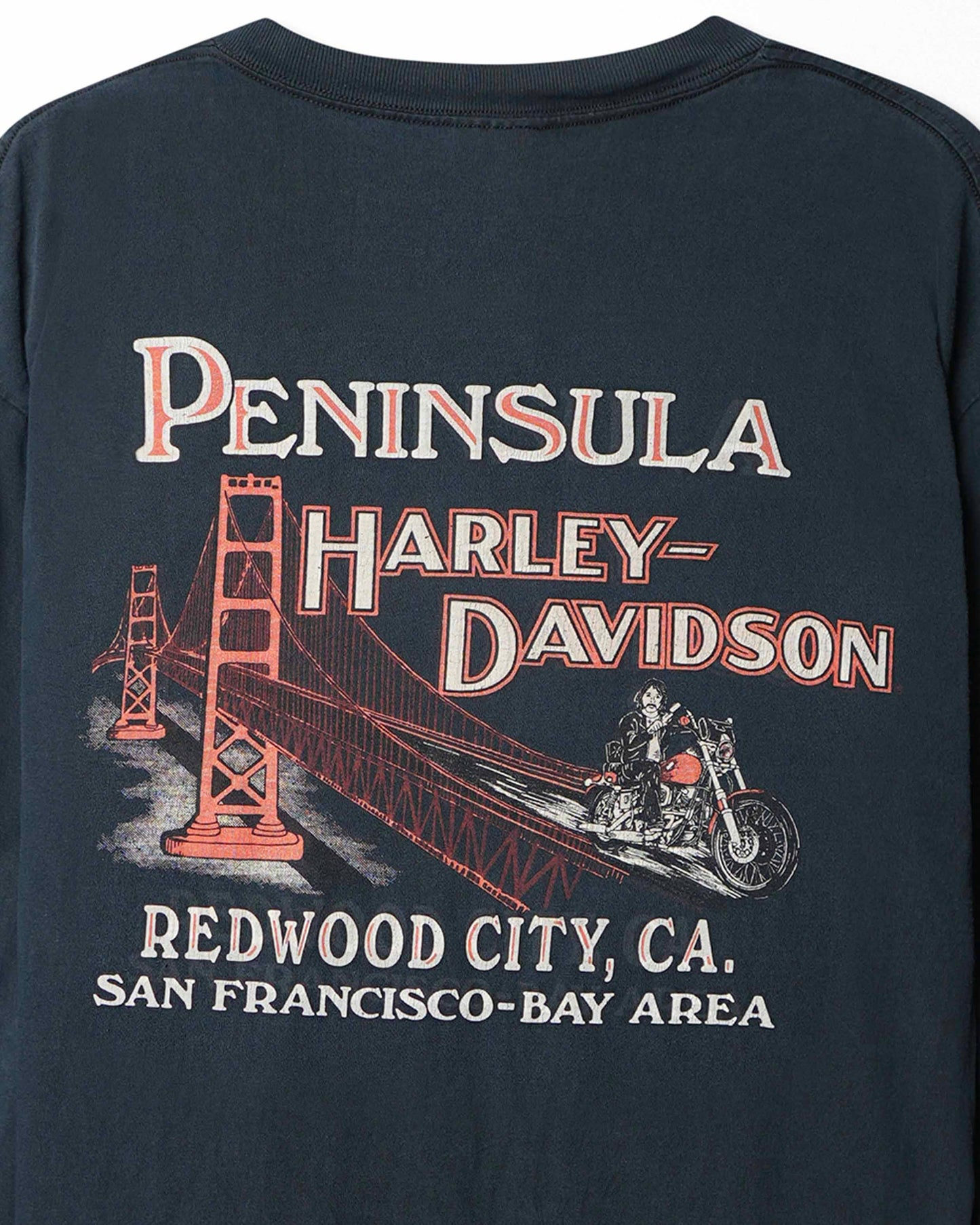HARLEY-DAVIDSON "UNTAMED TIGER FLAMES" DARK NAVY LONG SLEEVE T-SHIRT