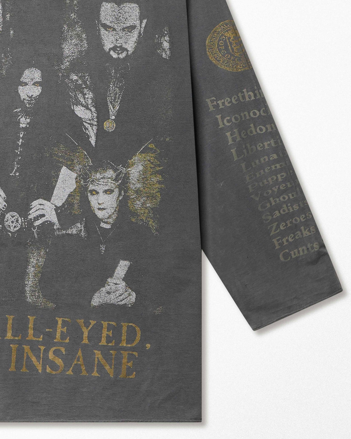 CRADLE OF FILTH "THE WALL-EYED, VAIN & INSANE" GRAY FADED THRASHED LONG SLEEVE T-SHIRT