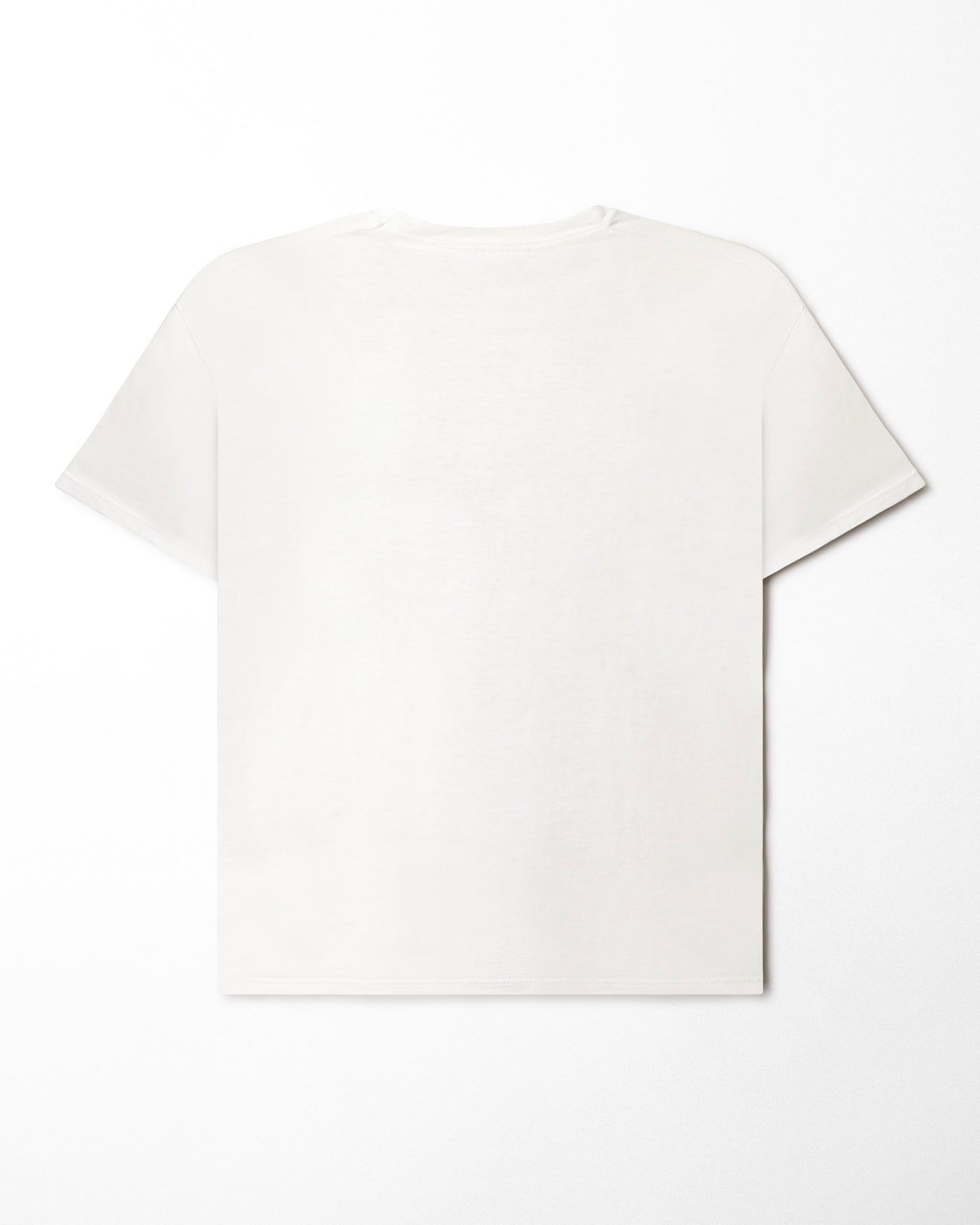 FRUIT OF THE LOOM "REHAB IS FOR QUITTERS" WHITE T-SHIRT
